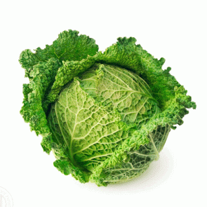 REPOLLO CRESPO 1 UNIDAD